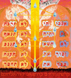 11: Kedoshim